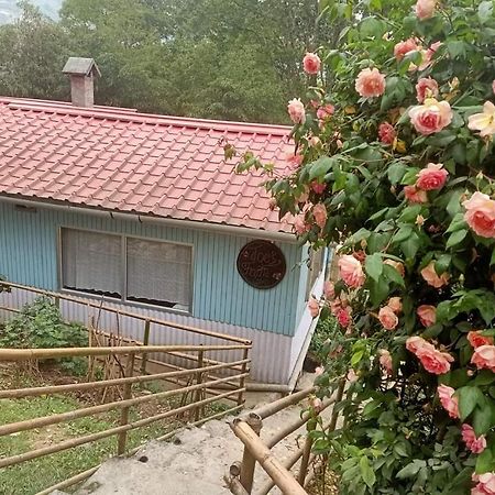 Vila Joe'S Farm Dárdžiling Exteriér fotografie
