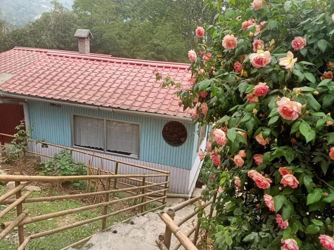 Vila Joe'S Farm Dárdžiling Exteriér fotografie